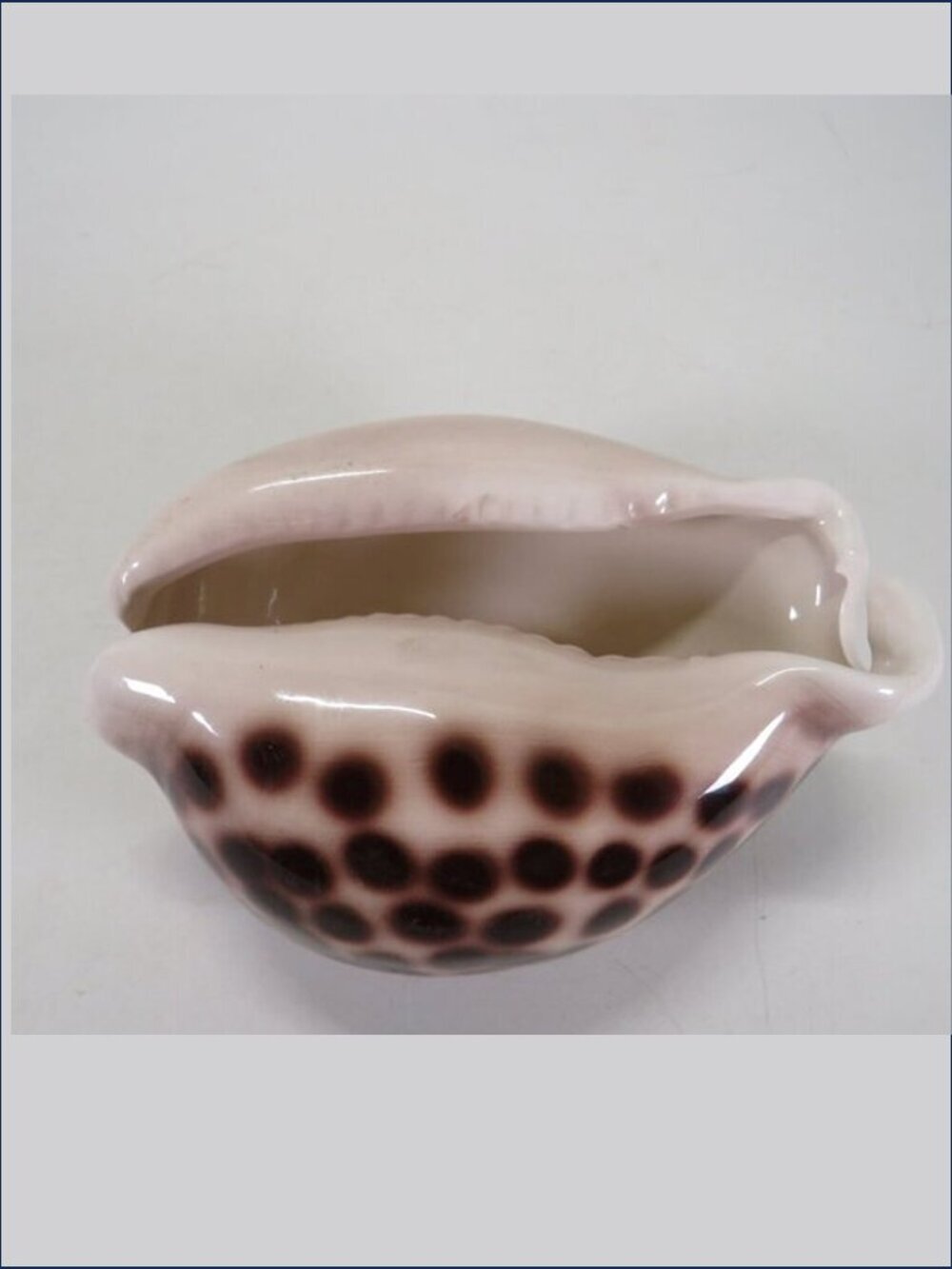 Ceramic Sea Shell Dish - Planter Cowrie Shell Brown Spotted